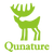 Qunature