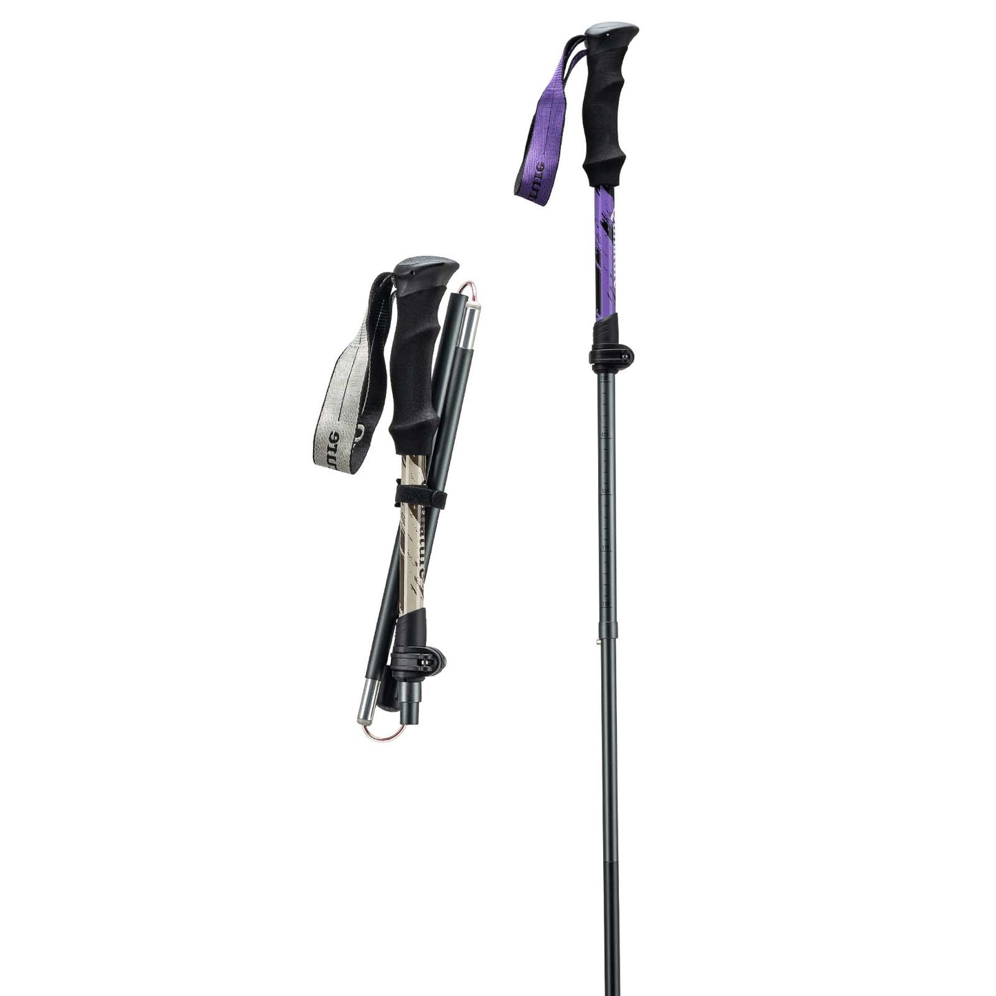 qunature wanderstöcke in lila, aufgebaut und zusammengeklappt